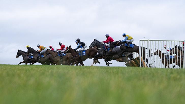 Wincanton long shot